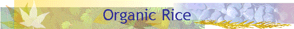 Organic Rice