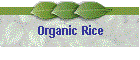Organic Rice