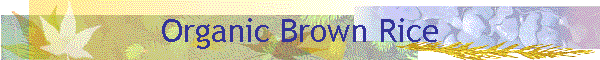Organic Brown Rice