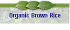 Organic Brown Rice