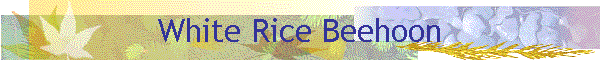 White Rice Beehoon
